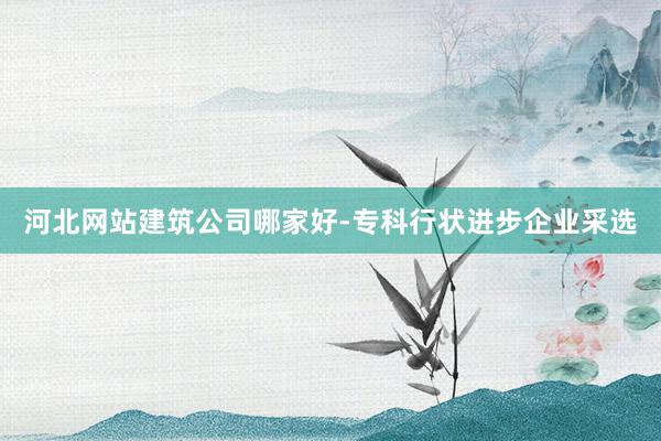 河北网站建筑公司哪家好-专科行状进步企业采选