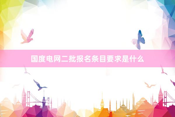 国度电网二批报名条目要求是什么