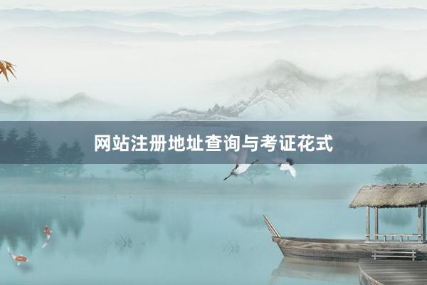 网站注册地址查询与考证花式