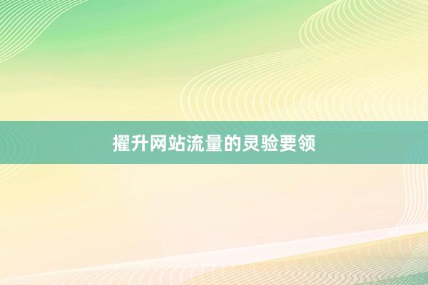擢升网站流量的灵验要领