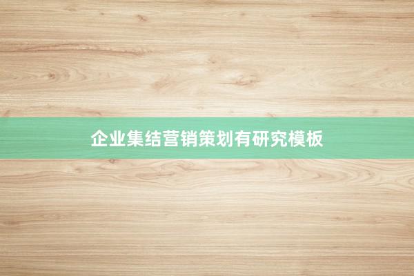 企业集结营销策划有研究模板