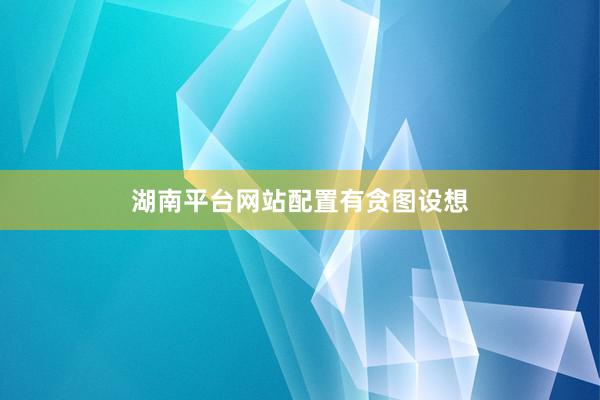 湖南平台网站配置有贪图设想
