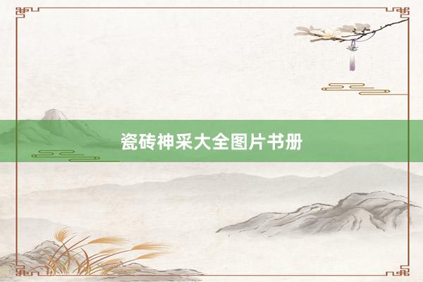 瓷砖神采大全图片书册