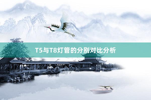 T5与T8灯管的分别对比分析