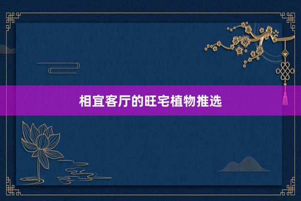 相宜客厅的旺宅植物推选