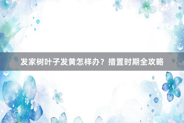 发家树叶子发黄怎样办？措置时期全攻略