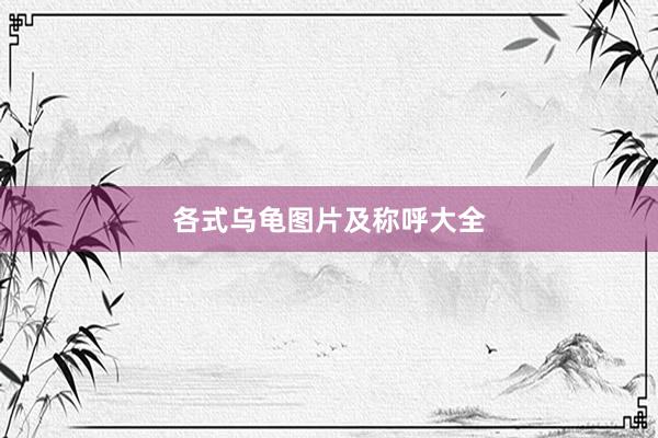 各式乌龟图片及称呼大全